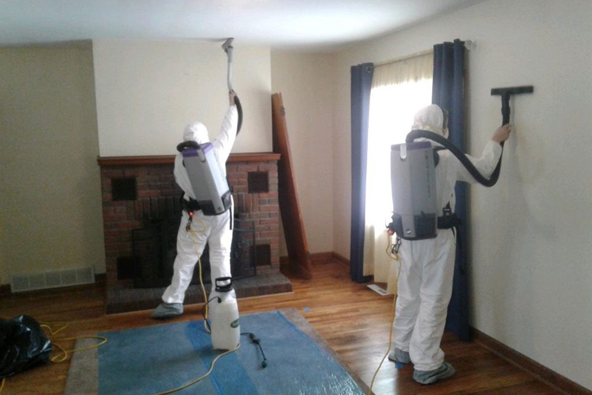 Professional mold removal technicians with backpack vacuums cleaning mold