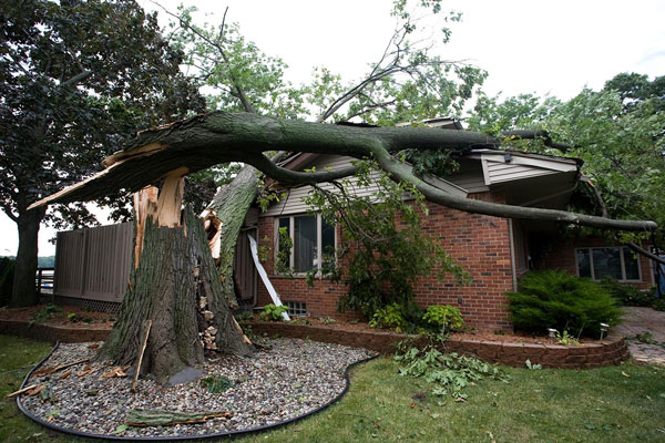 storm damage restoration tree fallen on house